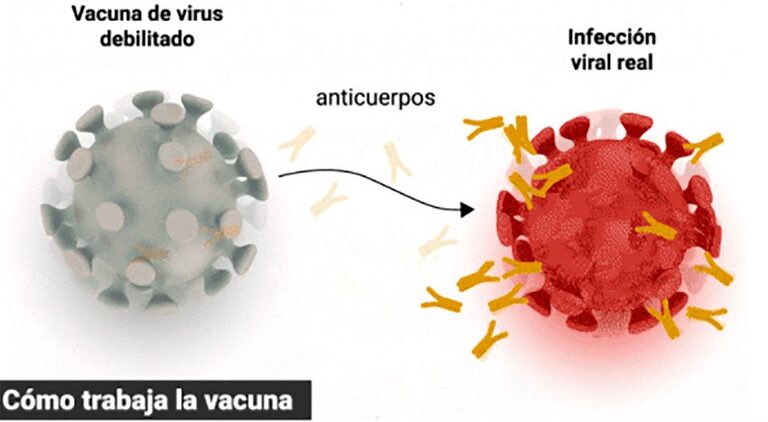 Las vacunas de ARN mensajero tienen un enorme potencial en la medicina